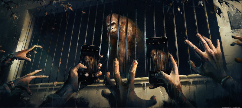 Gorilla in Cage