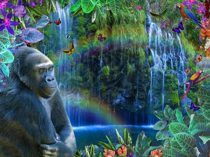 Gorilla in Jungle