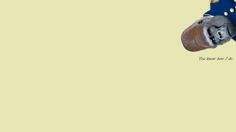 Gorilla in Uniform — Beige