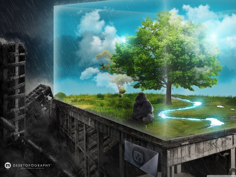 Gorilla on Grass