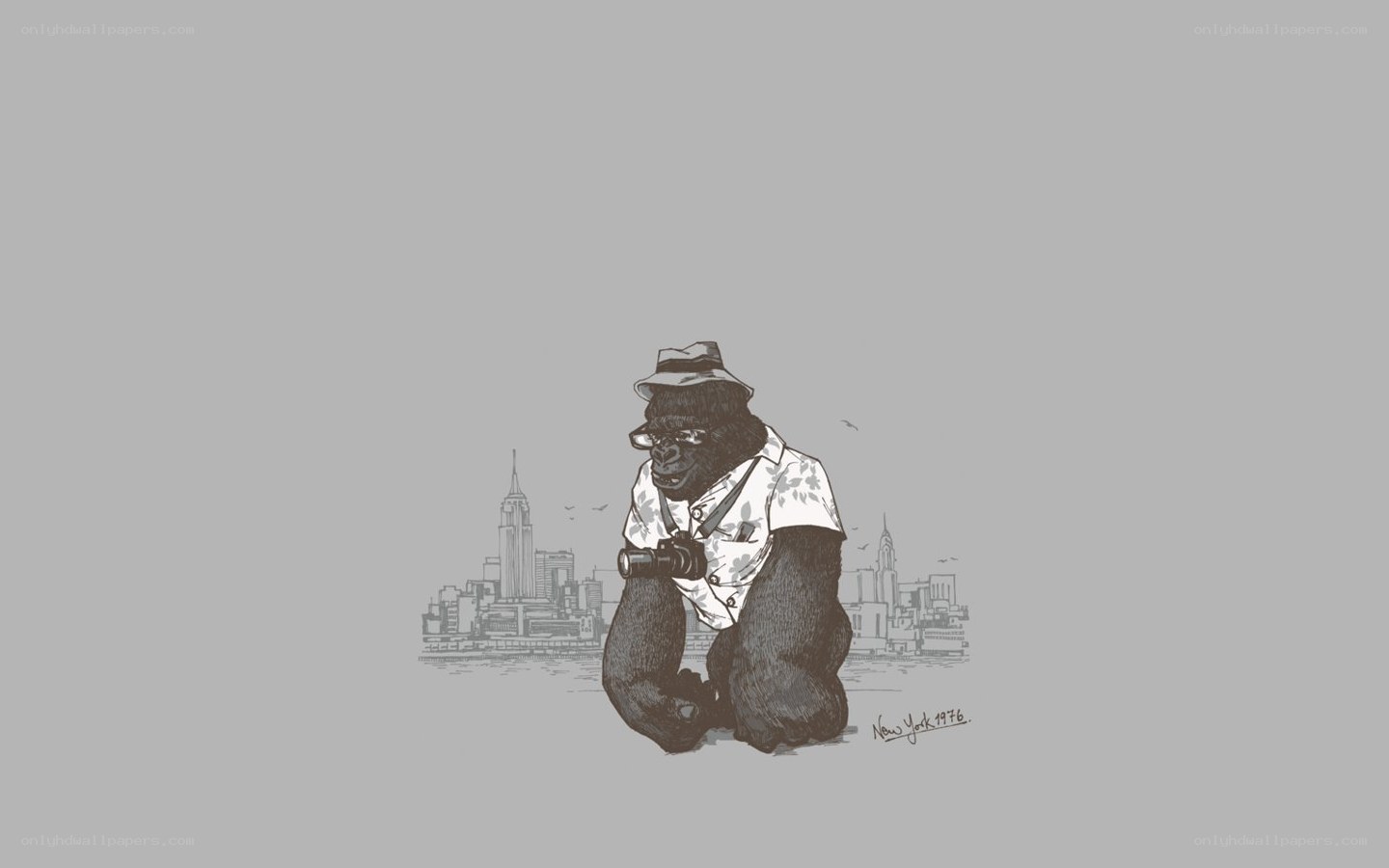gorilla photographer in new york