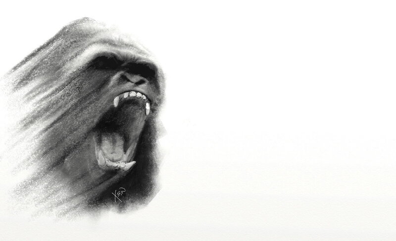 gorilla roaring in monochrome