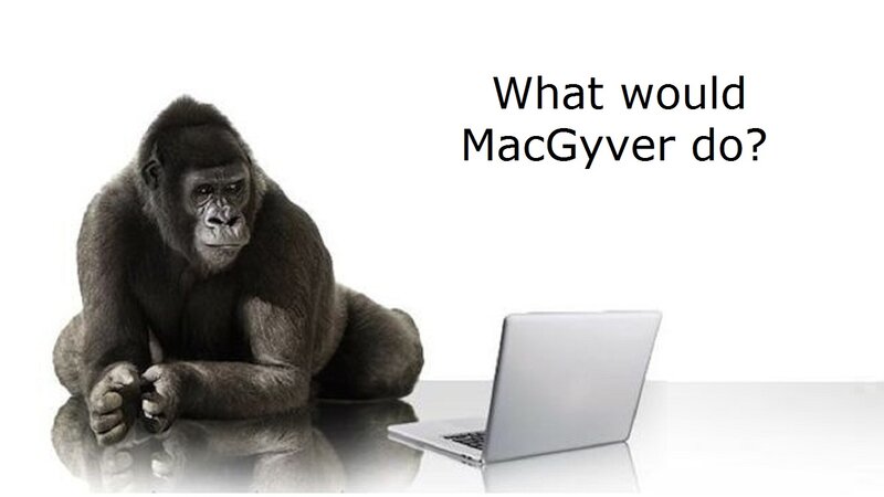 Gorilla Using Laptop