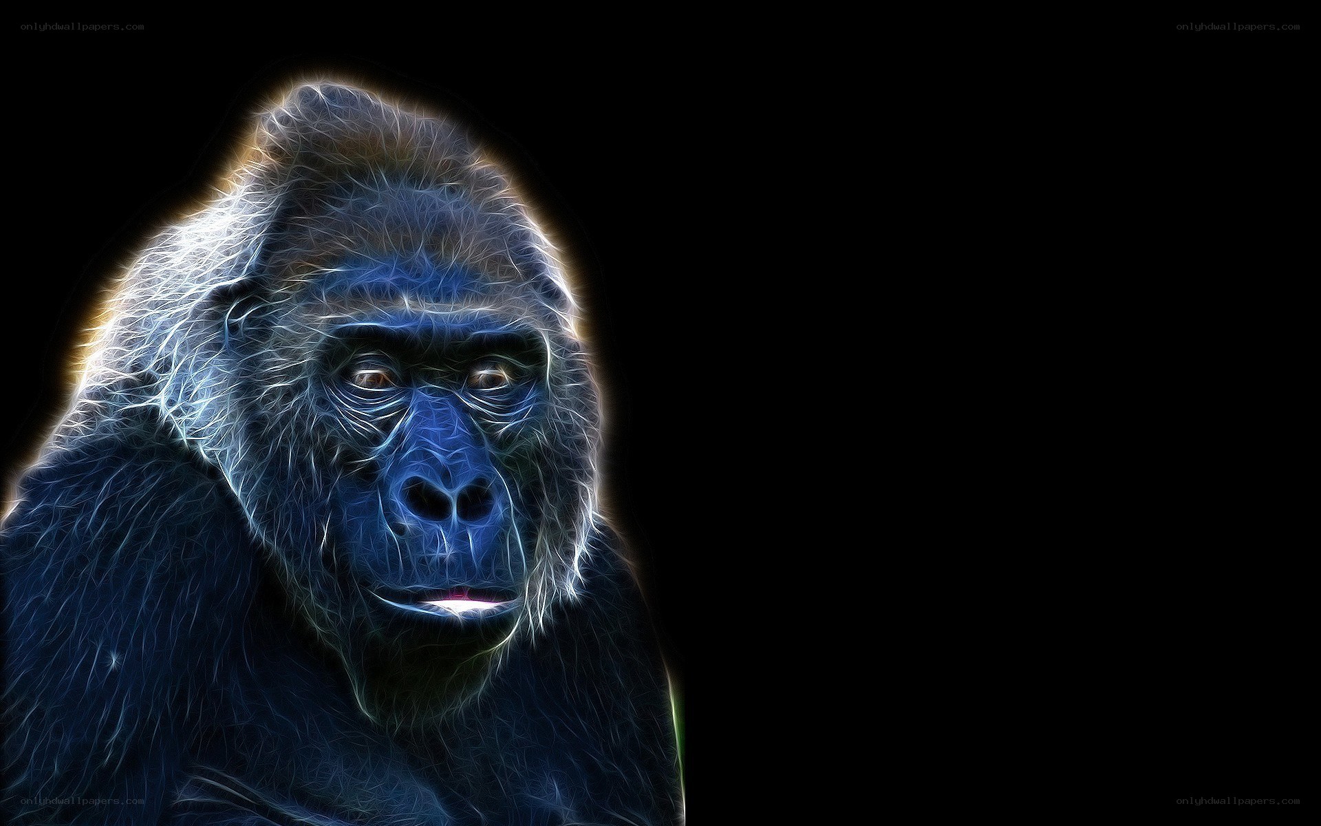 Gorilla with glowing blue outline