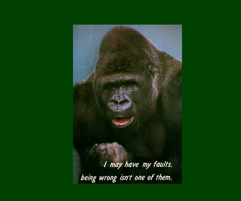 Gorilla with Text