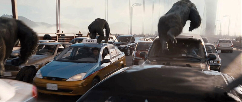 Gorillas on a Bridge
