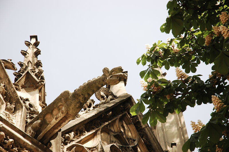 Gothic architecture and tree branches