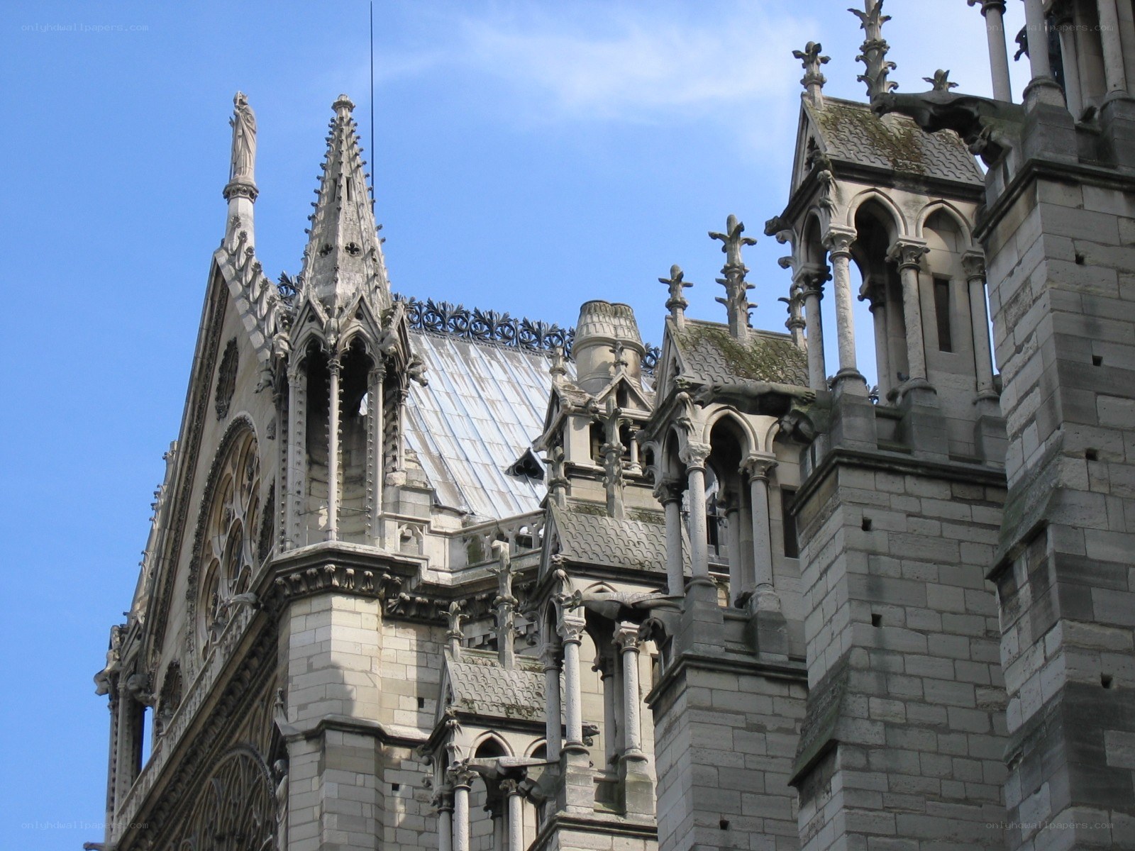 Gothic architecture of Notre-Dame