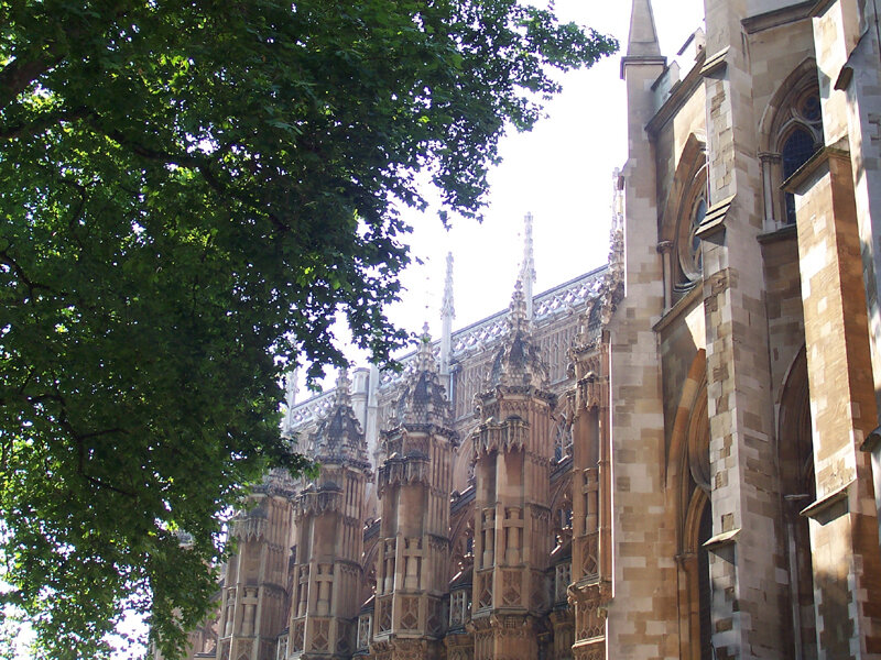 Gothic architecture with trees