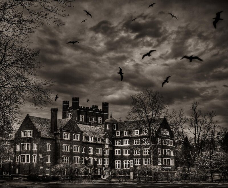 Gothic Building with Birds