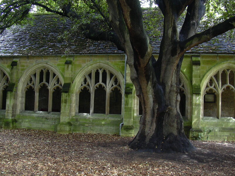 Gothic building with large tree