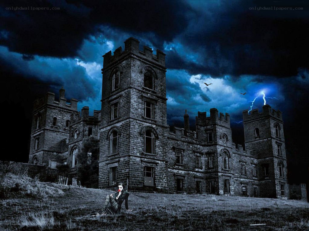 Gothic castle at night