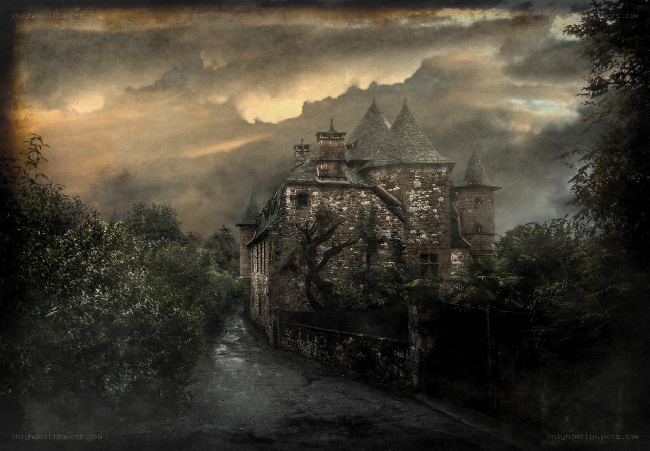 Gothic castle in misty landscape