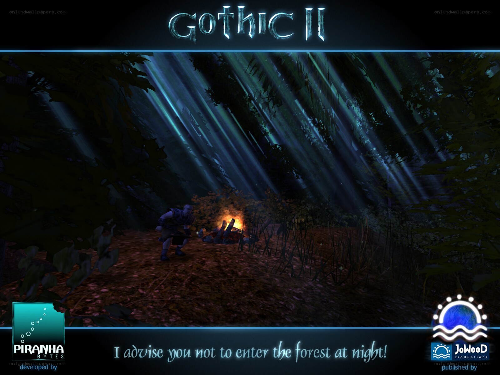 Gothic II forest scene