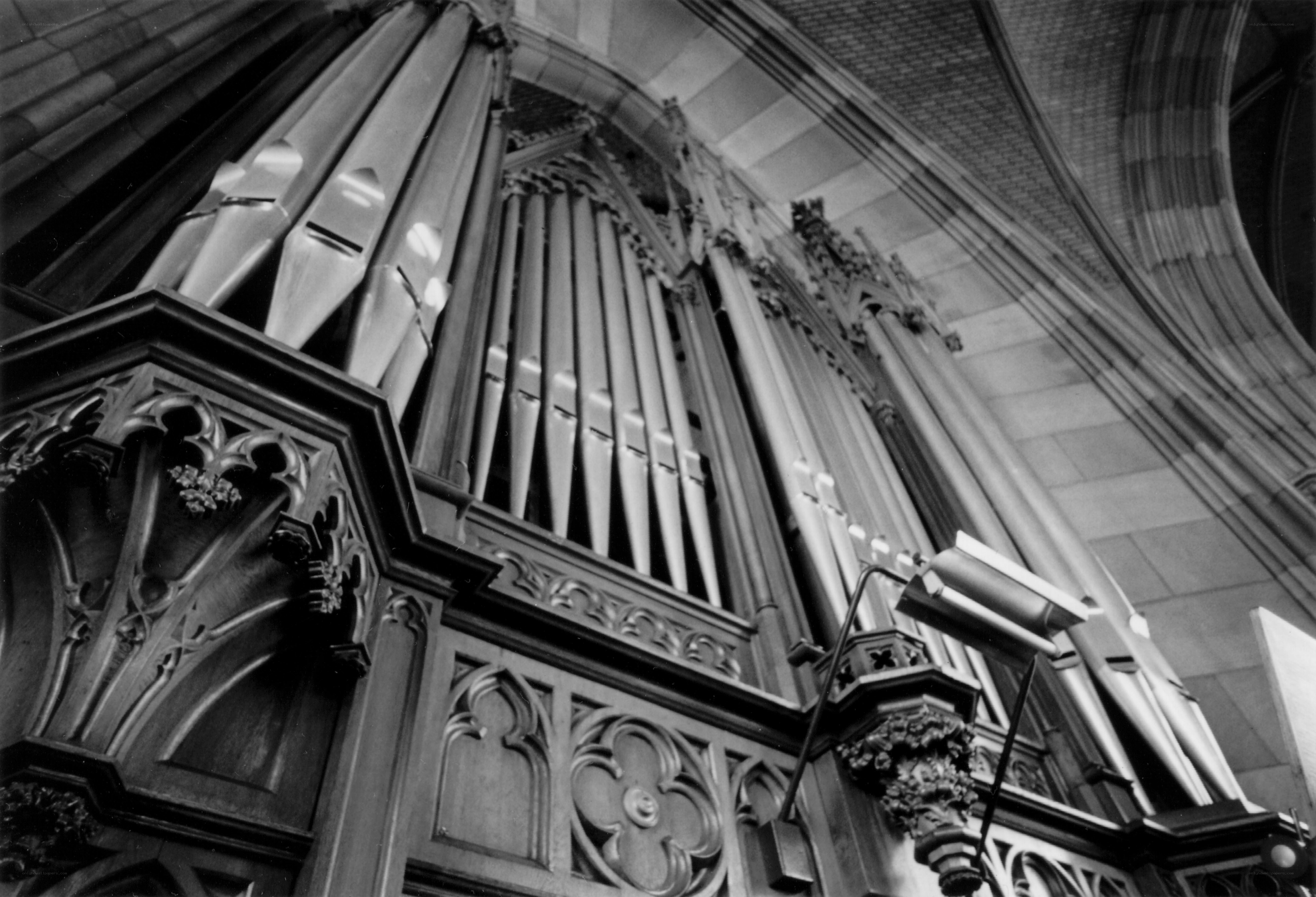 Gothic organ in a cathedral