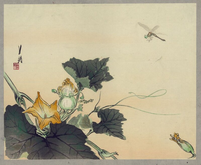 Gourd Plant with Dragonfly