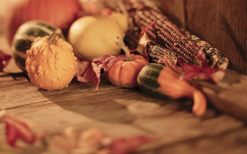 Gourds and Corn on Wood