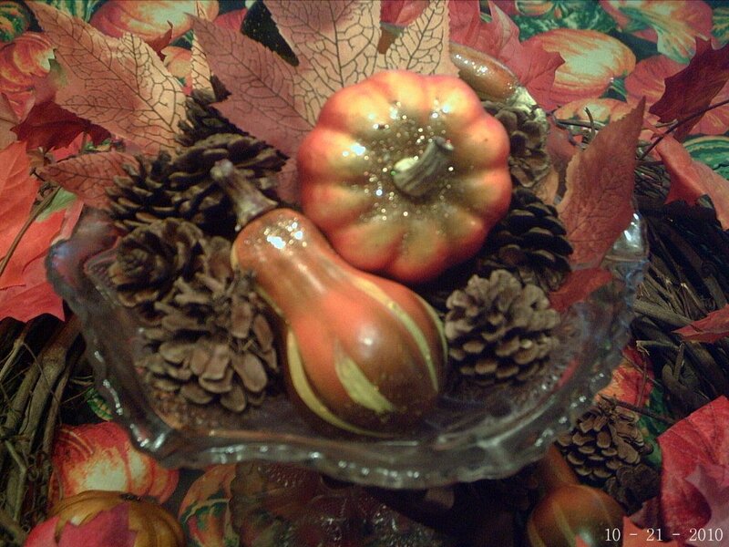 Gourds and Pinecones in Bowl