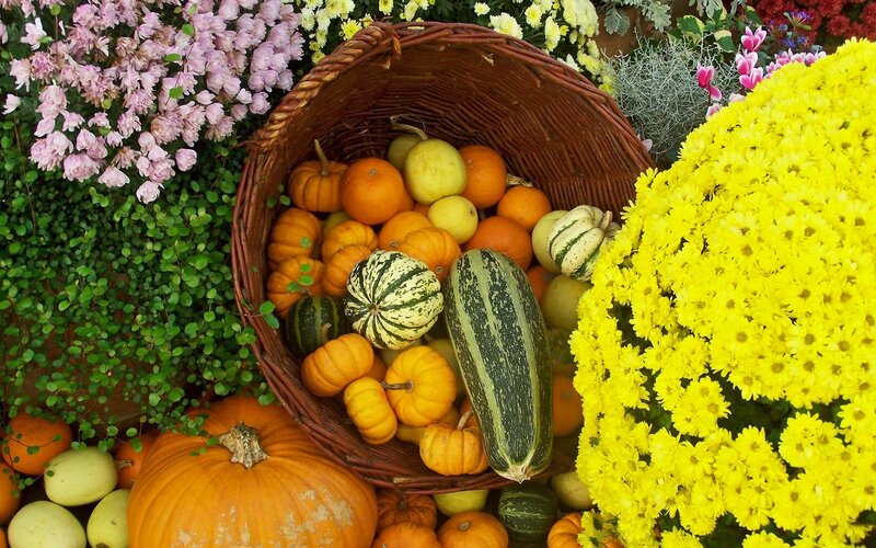 Gourds in a Basket