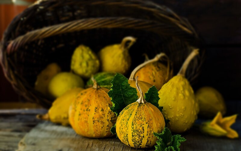 Gourds in a Basket — Yellow