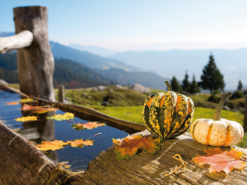 Gourds on Wooden Trough — Green