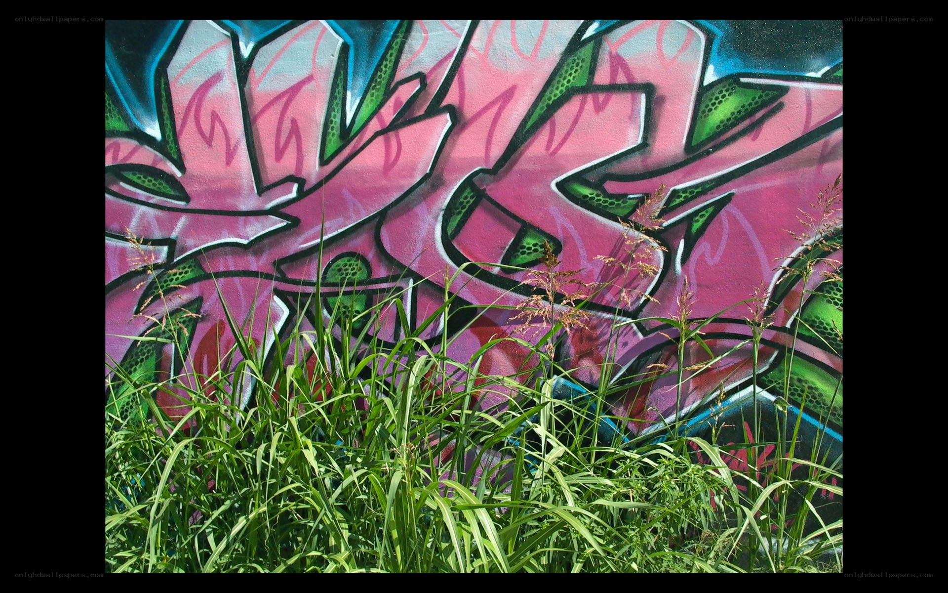 graffiti art with tall grass