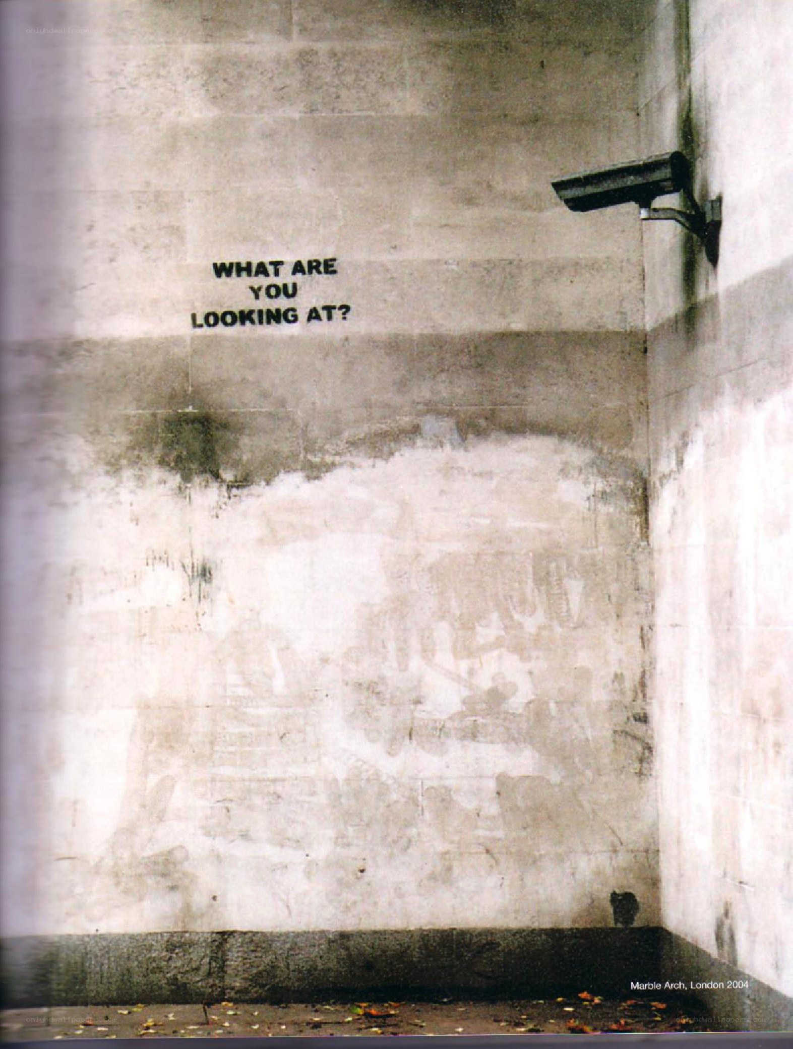 graffiti asking 'what are you looking at'