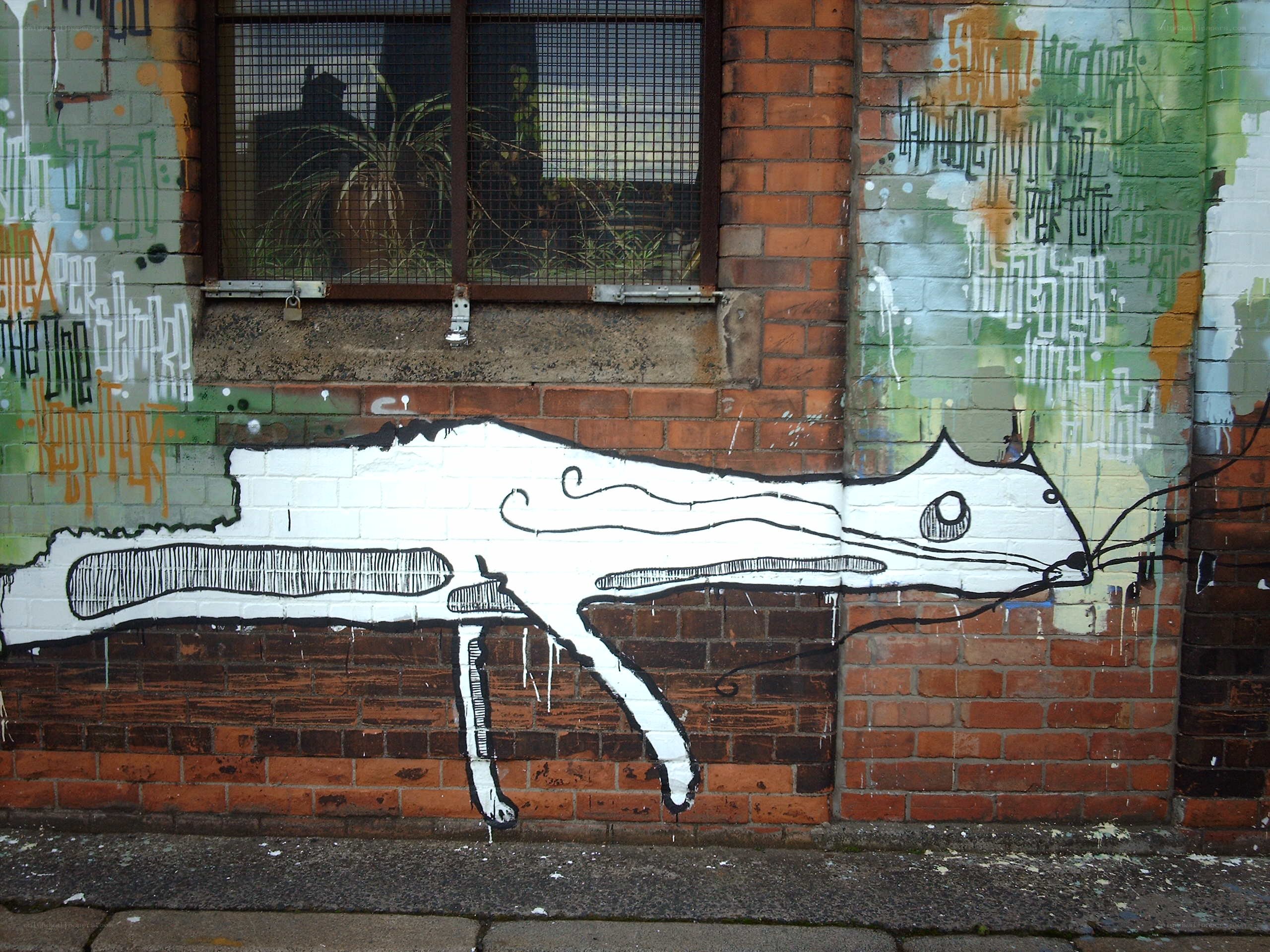 graffiti cat on brick wall