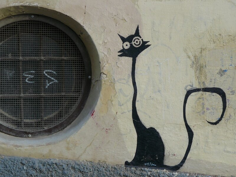 graffiti cat on wall