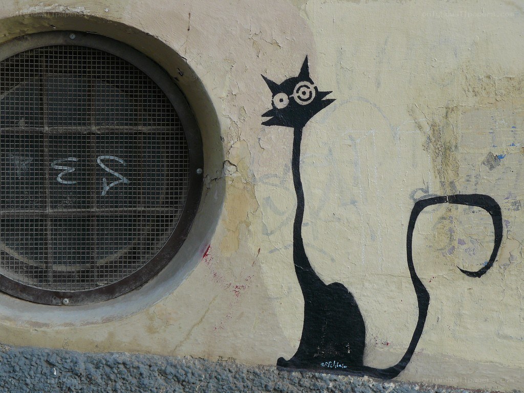 graffiti cat on wall