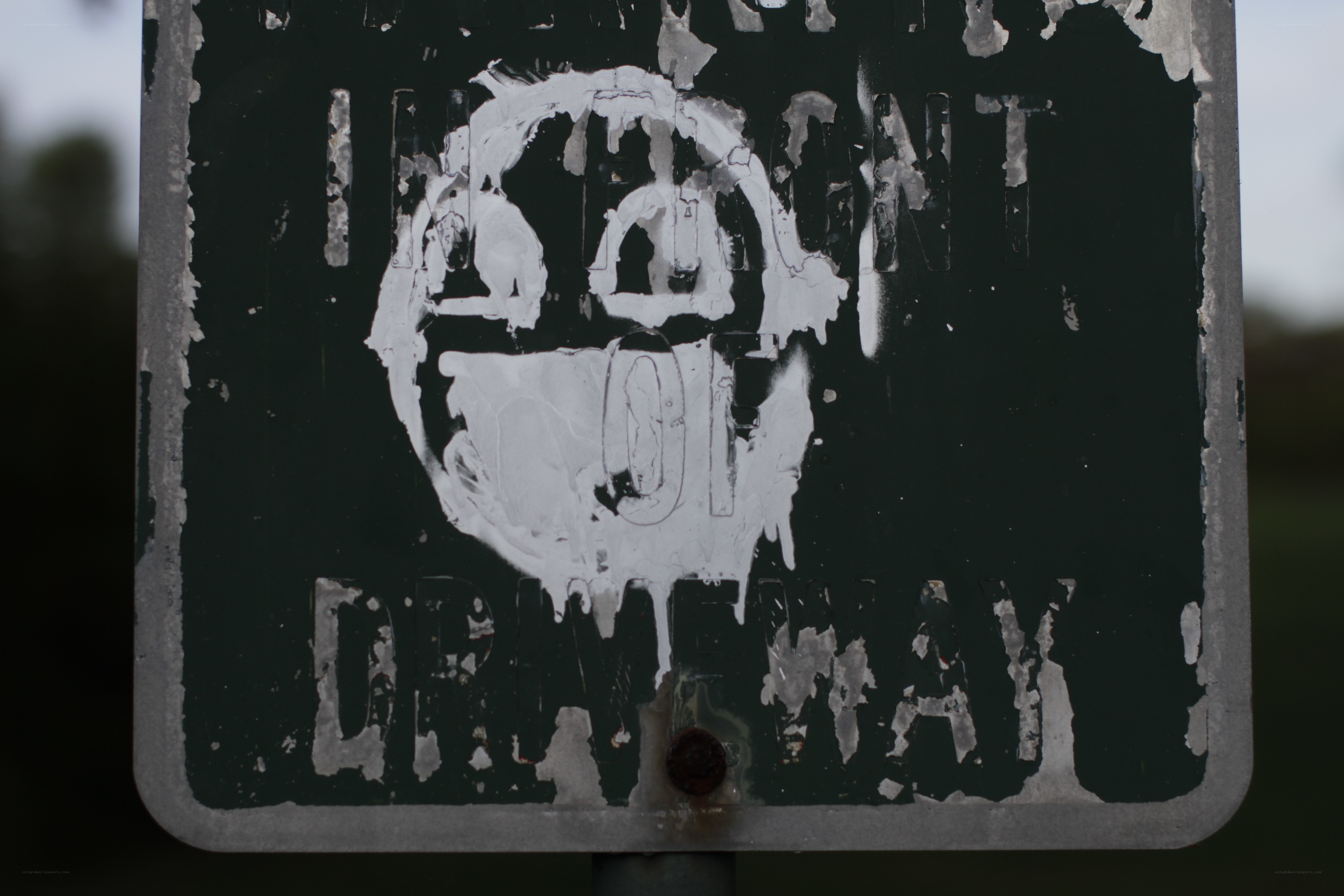 graffiti-covered driveway sign