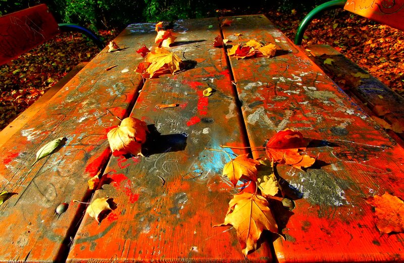Graffiti-covered Picnic Table