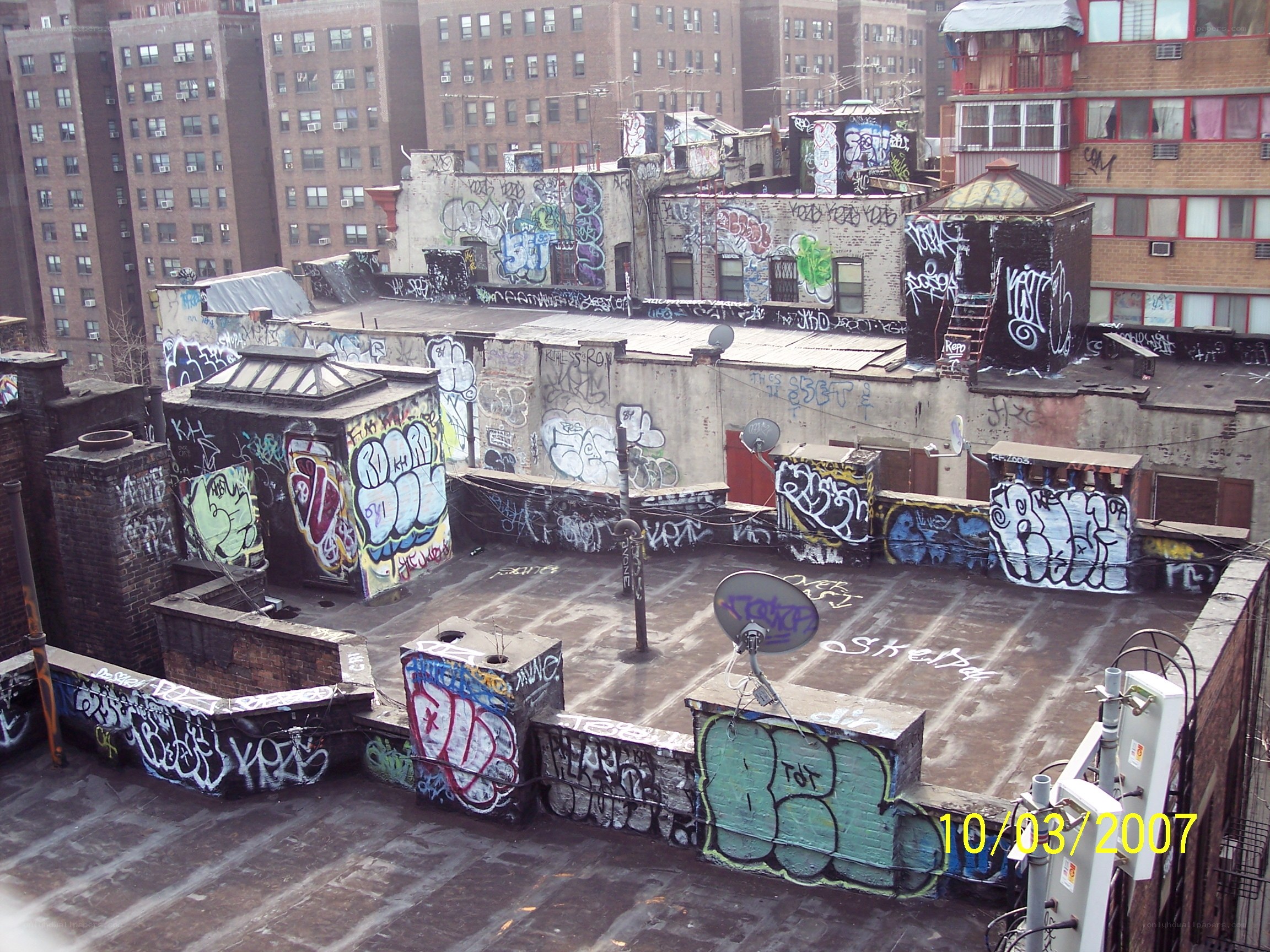 graffiti-covered rooftop in new york