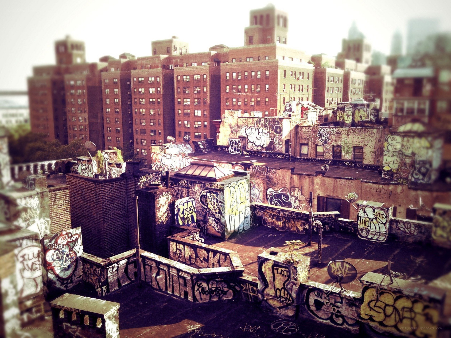 graffiti-covered rooftops in a city