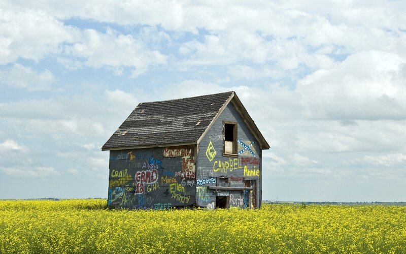 Graffiti-covered Shed