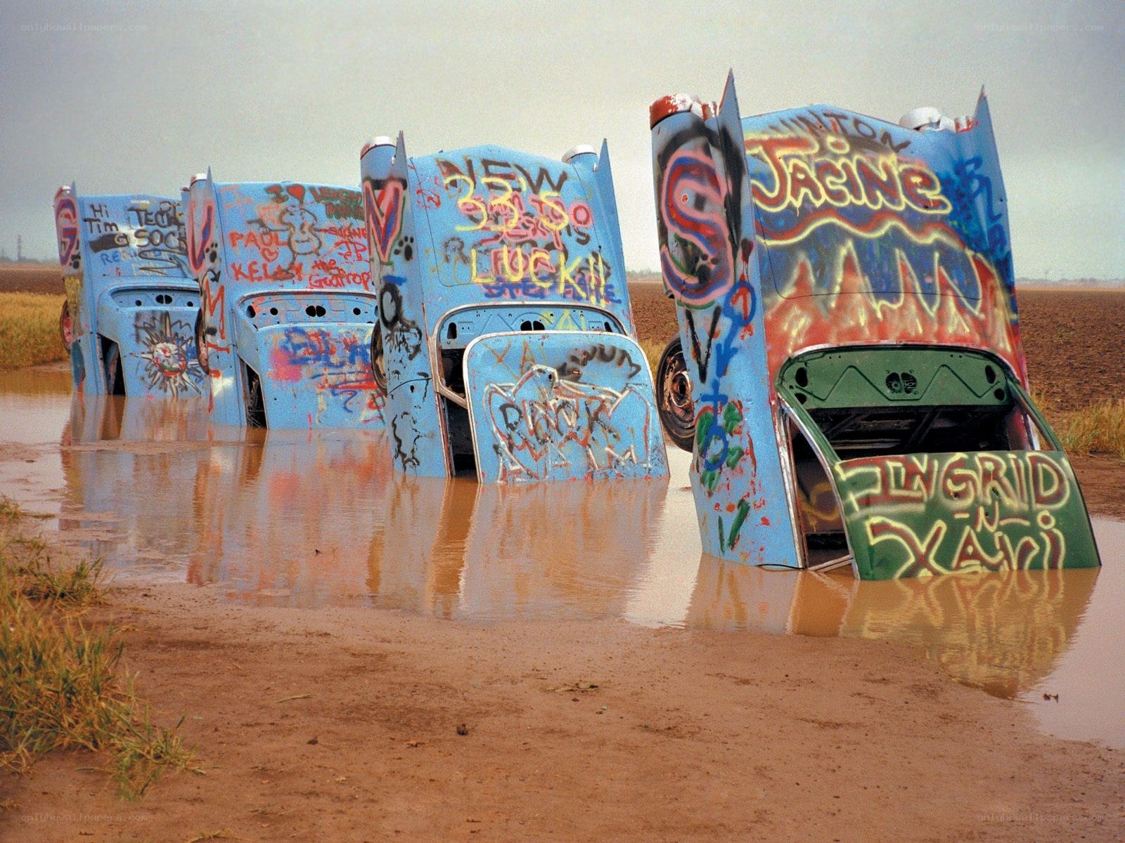 graffiti-covered trucks in water