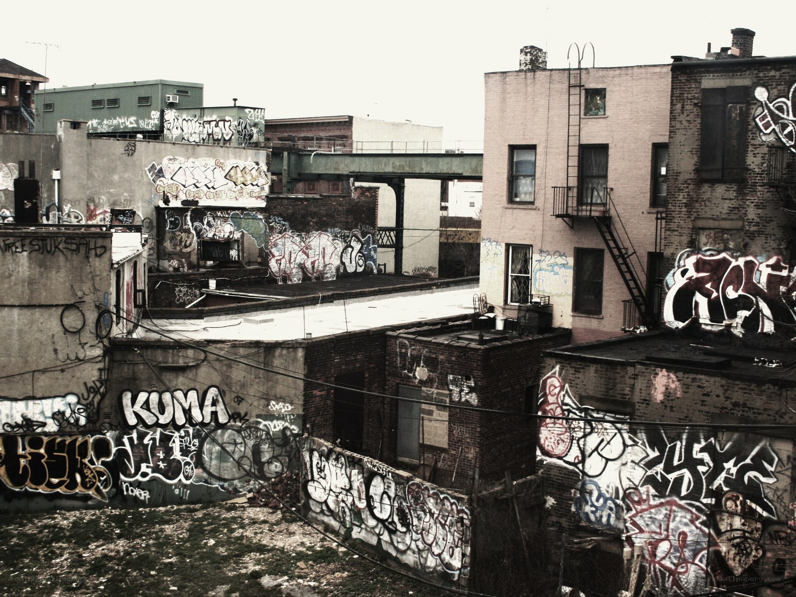 graffiti-covered urban rooftops