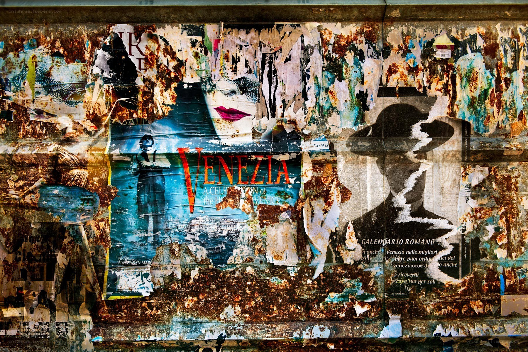 graffiti-covered wall in venice
