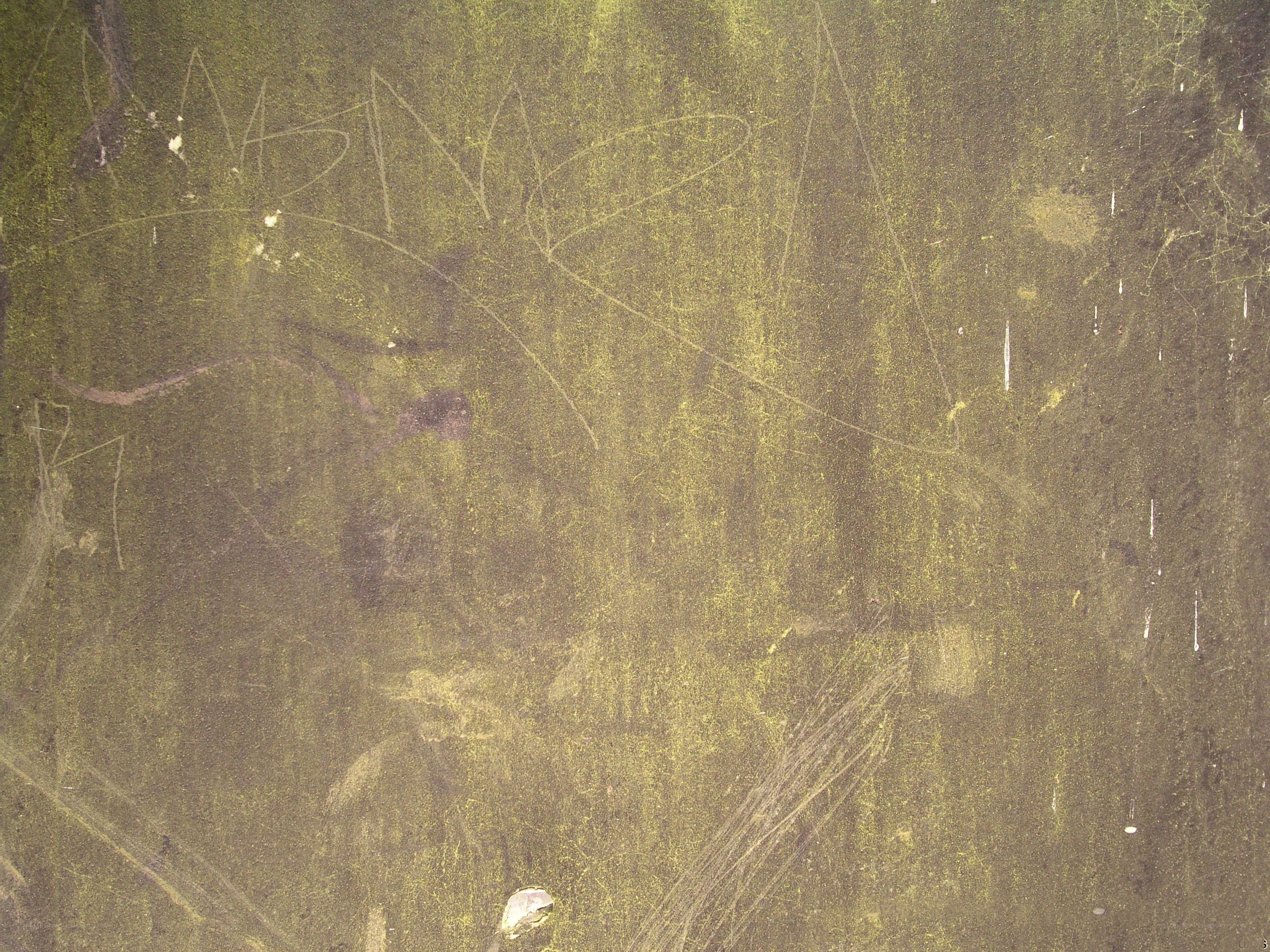 graffiti-covered wall surface