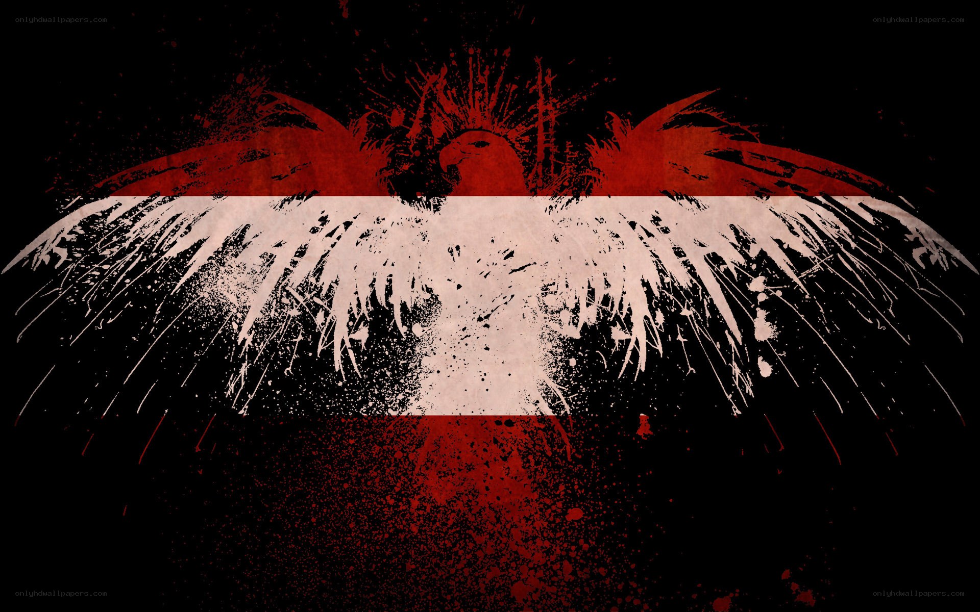 graffiti eagle flag art