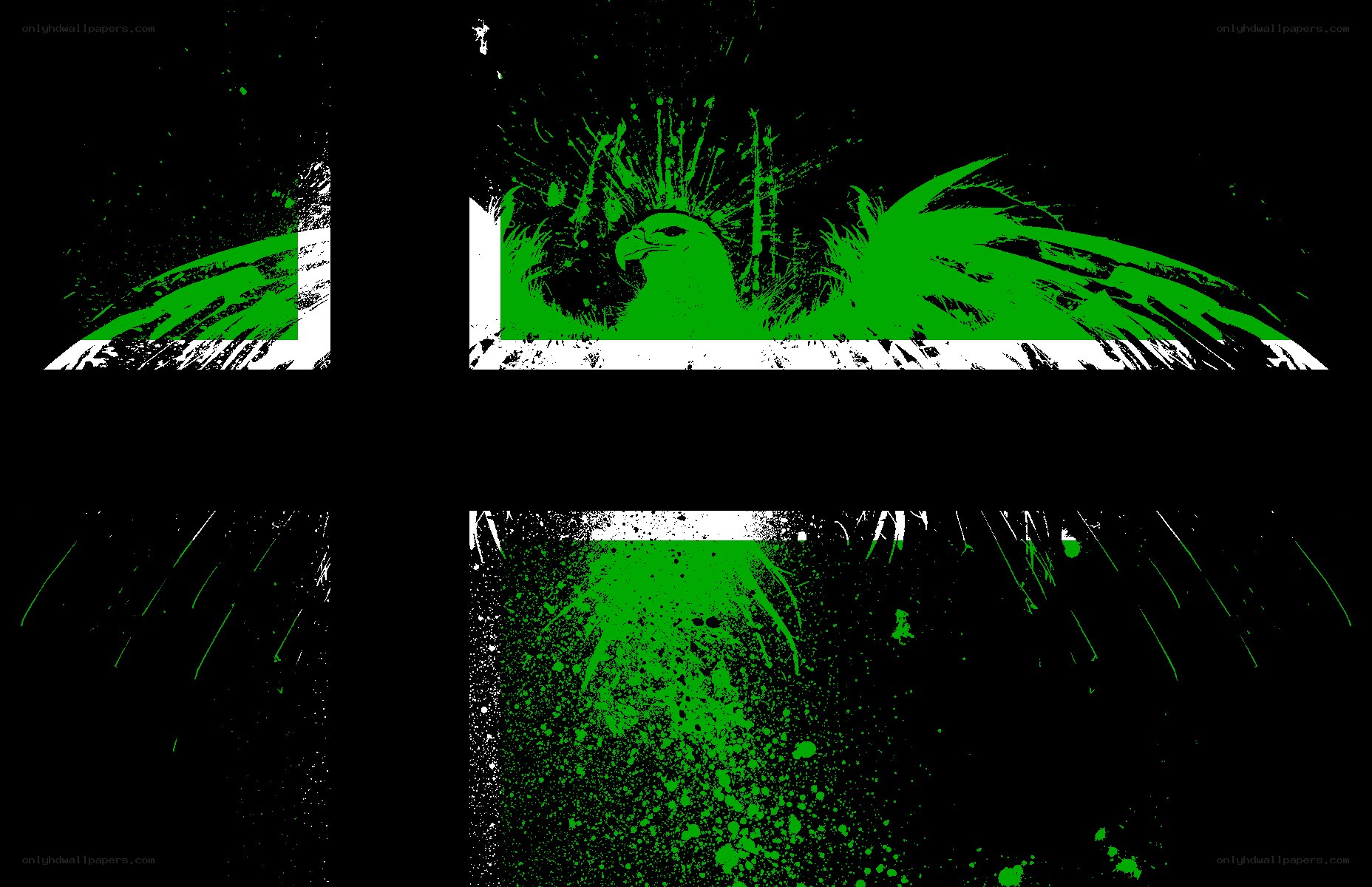 graffiti eagle flag design