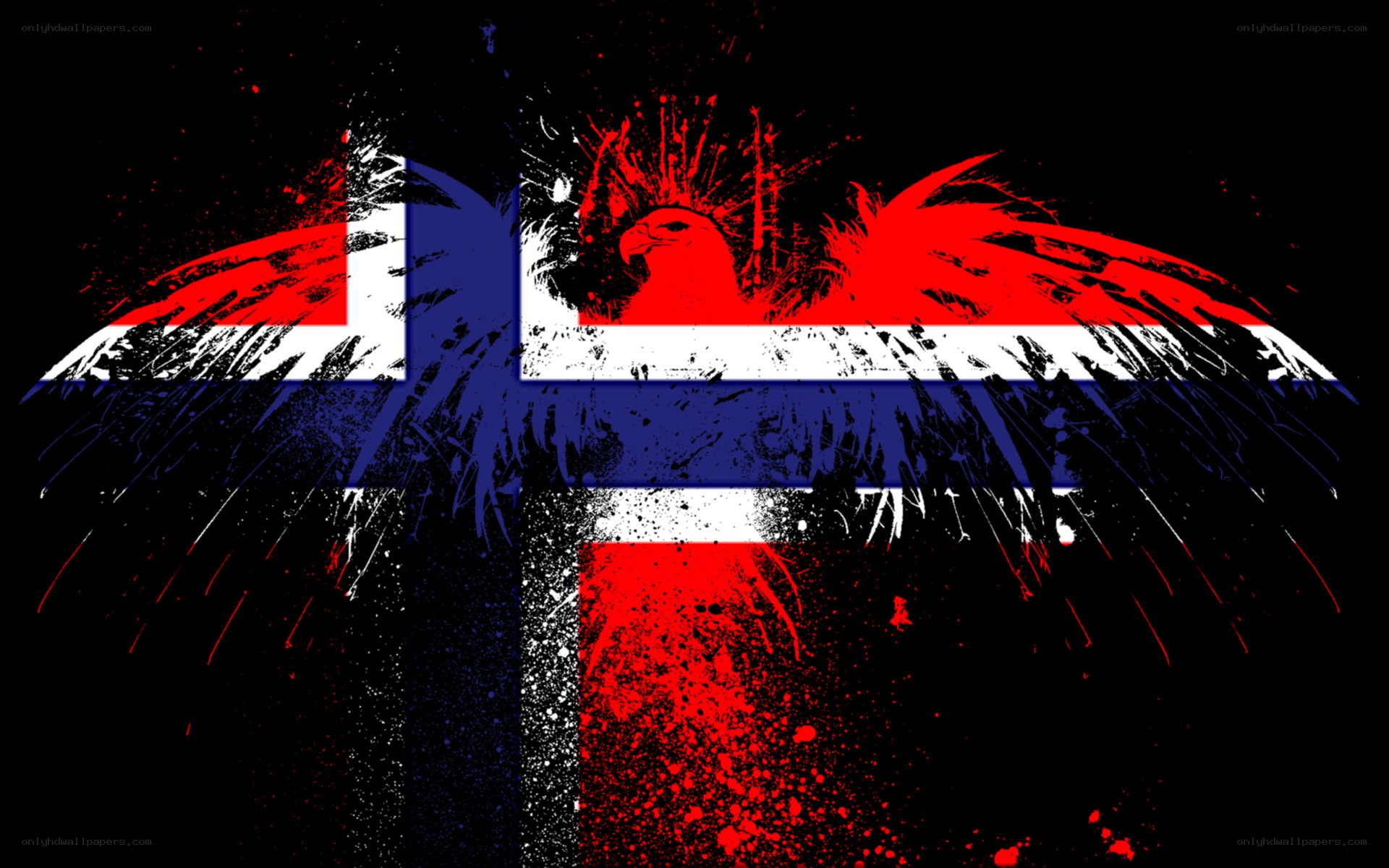 graffiti eagle over norwegian flag