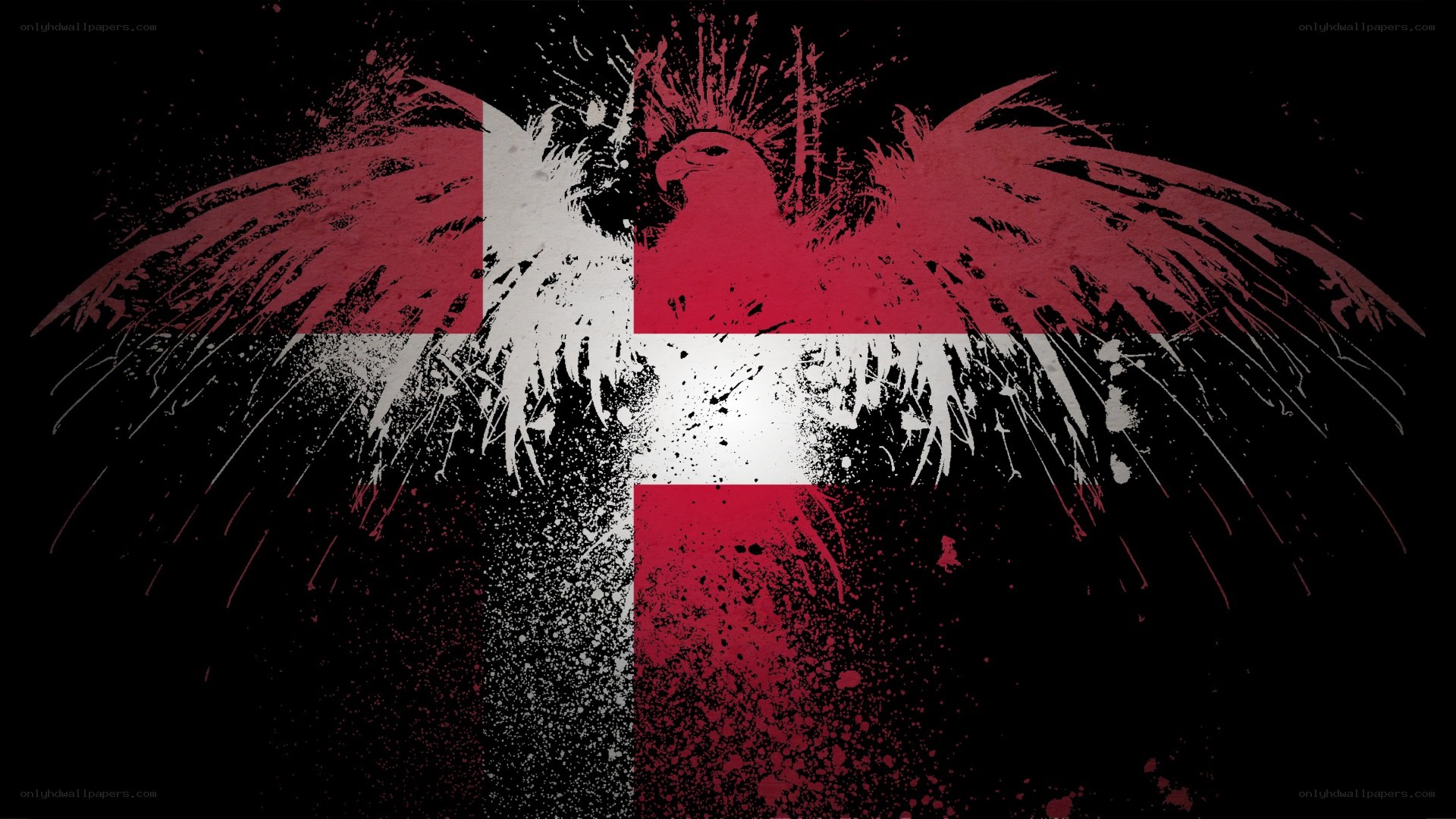 graffiti eagle with danish flag