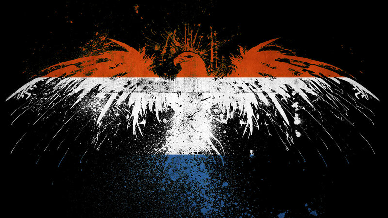 graffiti eagle with flag colors