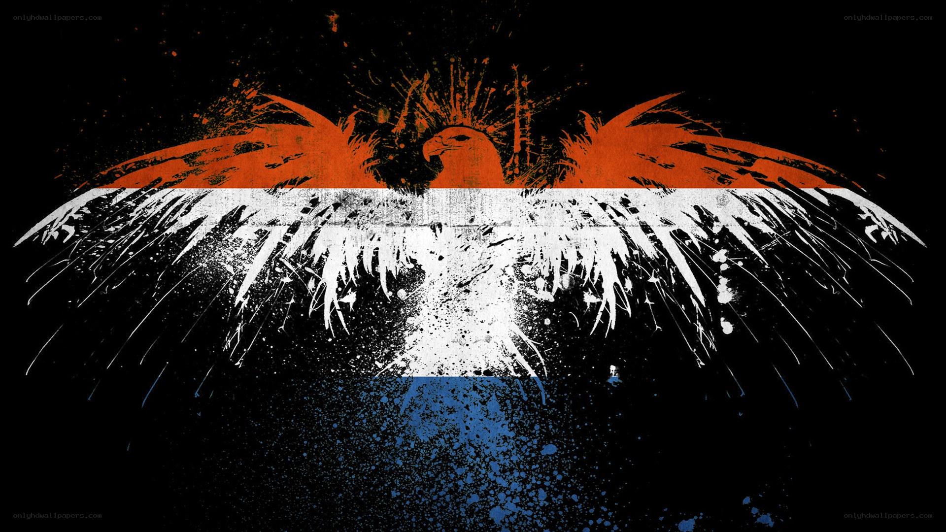 graffiti eagle with flag colors