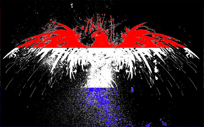 graffiti eagle with flag colors