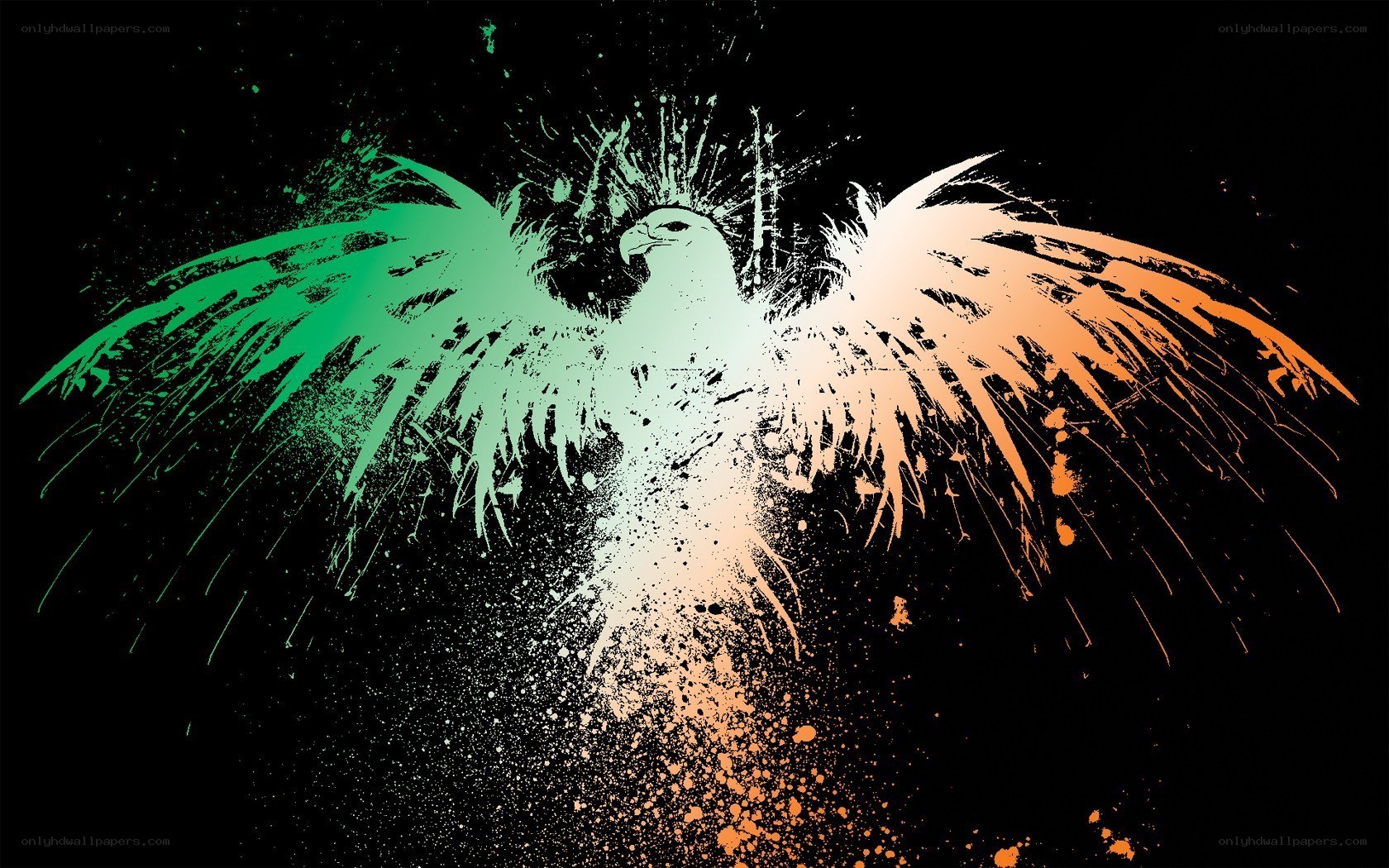 graffiti eagle with flag colors