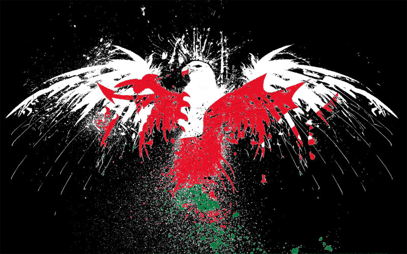 graffiti eagle with flag colors