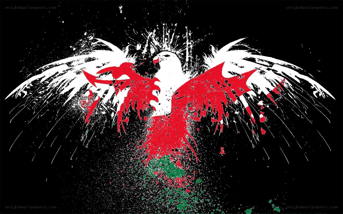 graffiti eagle with flag colors