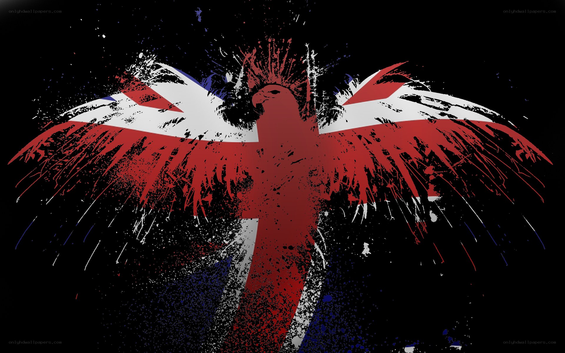 graffiti eagle with flag design